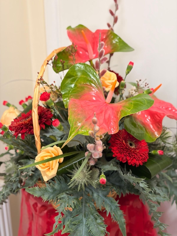 Vibrant floro basket