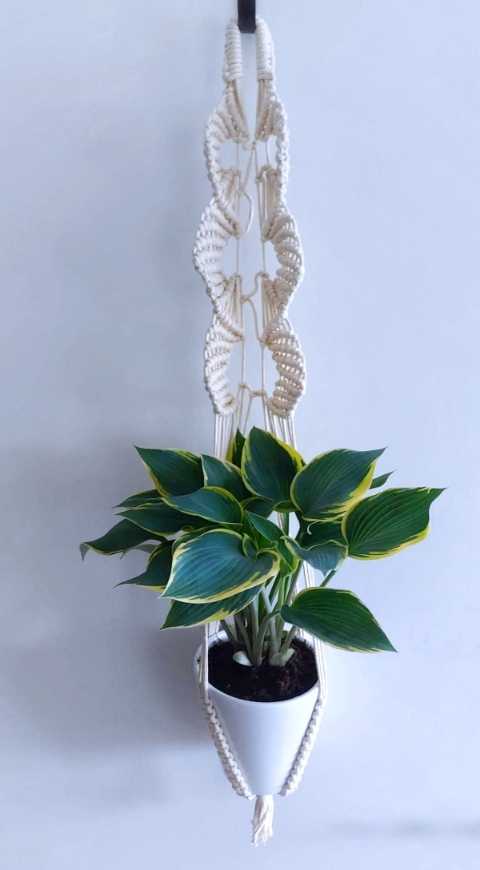 Plant Hanger