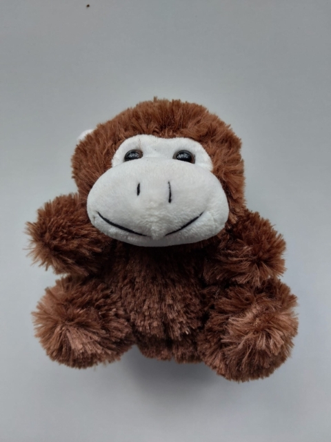 Small Monkey