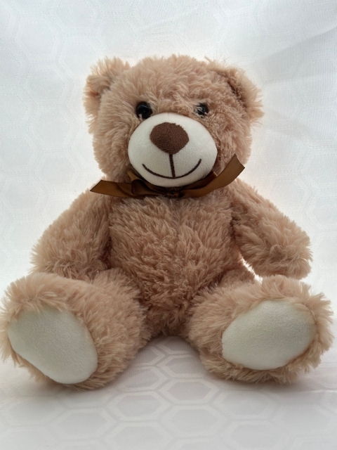 Teddy Bear