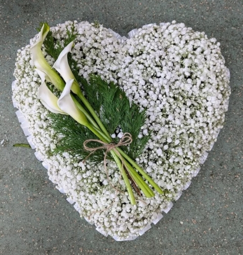 White Calla