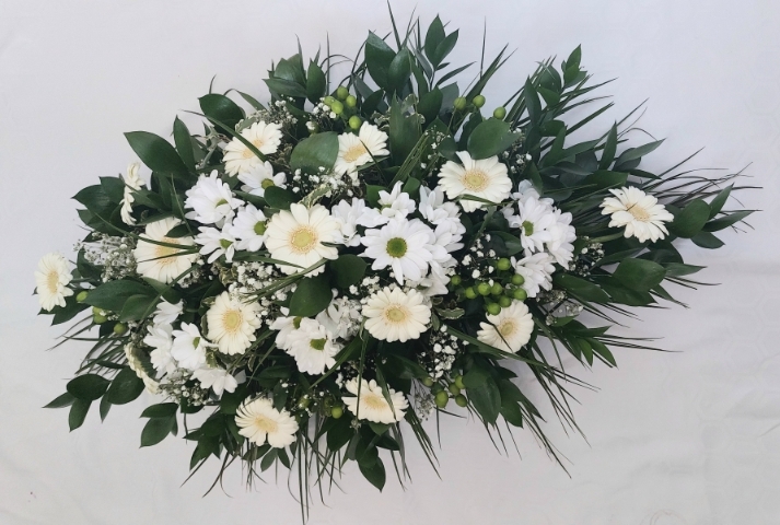 White Gerbera